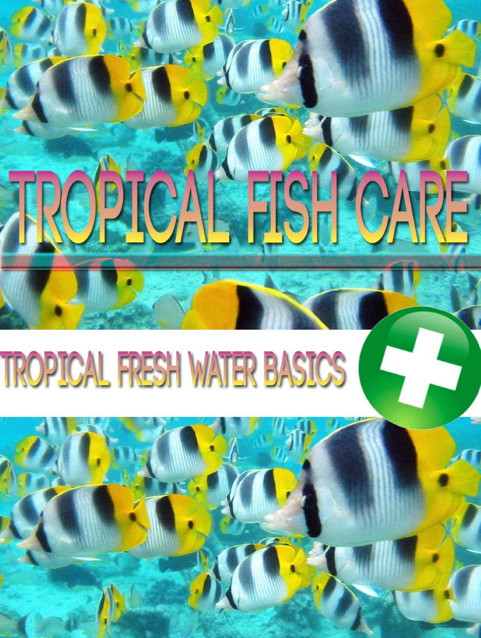 Tropical Fish Care