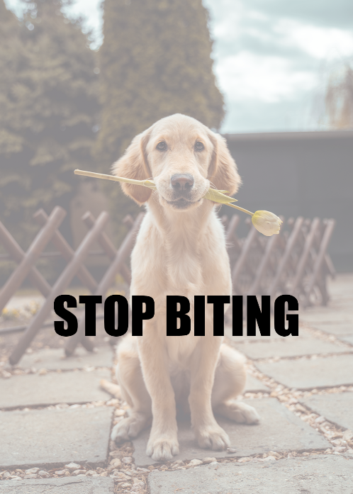 Stop Biting