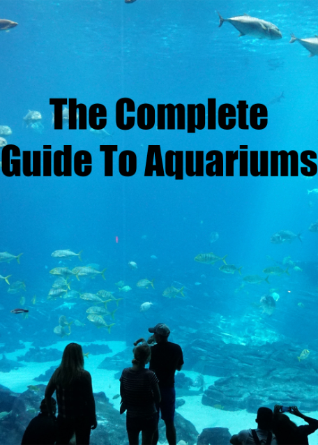 The Complete Guide to Aquariums