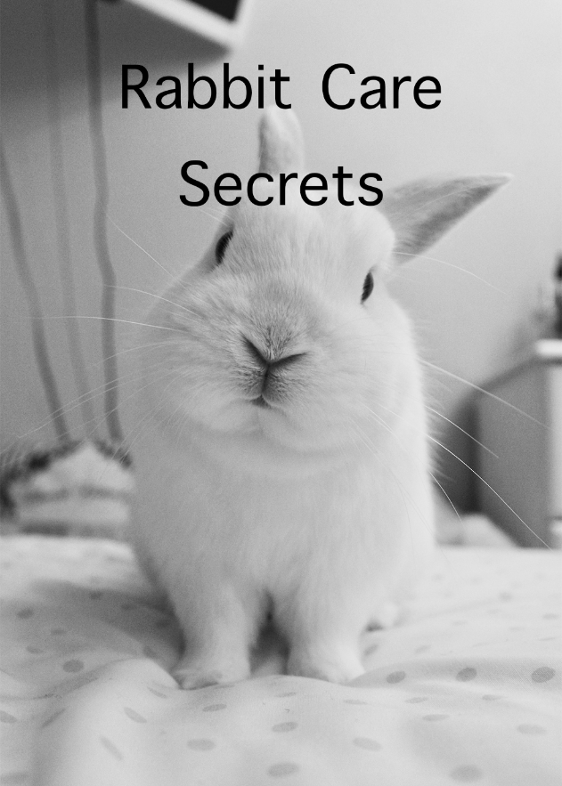 Rabbit Care Secrets